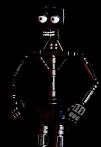 Full Endoskeleton