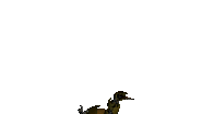 Scraptrap