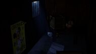 Cam8.jpg