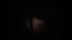 Cam7