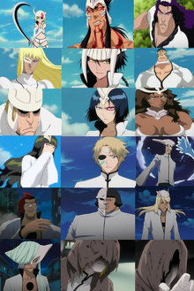 Aizen's Army | Five World War Wikia | Fandom