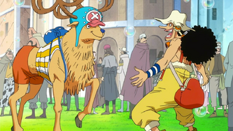 Tony Tony Chopper Five World War Wikia Fandom