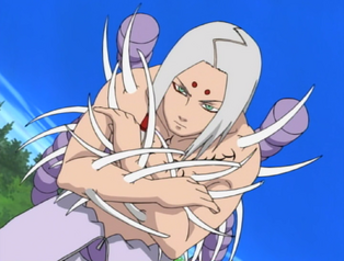 Shikotsumyaku.png