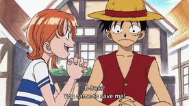 Nami meets Luffy