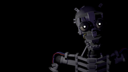 Blank's endoskeleton.