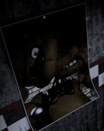 Poster of Freddy ripping his head off. 1/100 chance when camera opened.