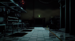 First footage of the kitchen camera in Five nights at freddys 