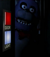 Bonnie Door