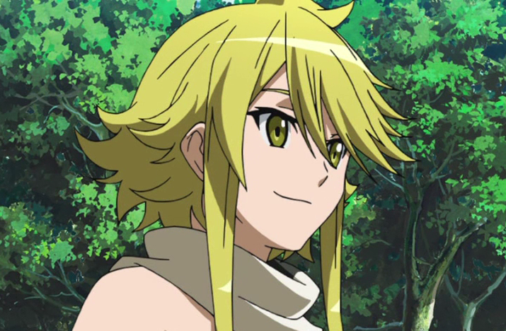 Leone (Akame ga kill), Perfis & Cross Wiki