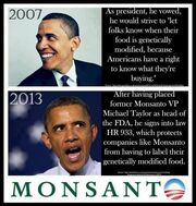 Monsanto Obama