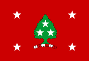 Flag of the governor