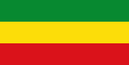 Transitional Government of Ethiopia (1991-1996)