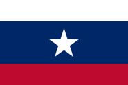 Proposed governor's flag