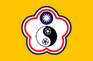 Flag of Chinese-Taipei used by Taiwan's national soccer team