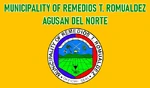 Remedios T. Romualdez