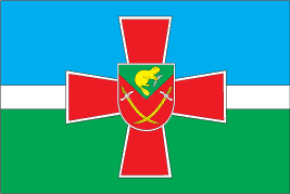 Bobrovytsia Raion VexiWiki Fandom