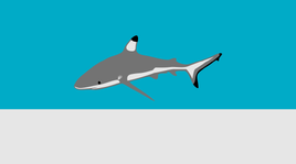 Kingman Reef (unofficial)