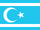 Turkmen Brigades