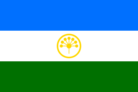 File:Rainbow flag of the Jewish Autonomous Oblast.png - Wikimedia
