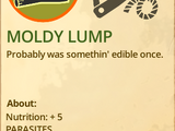 Moldy Lump