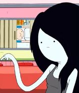 Marcy (12)