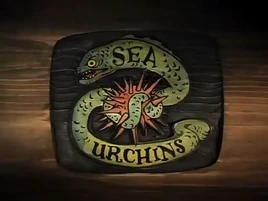 Sea Urchins card