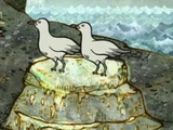 K'nuckles' Parents
