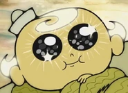 FlapjackSparklingEyes.jpg (32 KB) Flapjack in his seaweed blanket