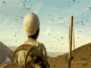 Crows death in Somalia