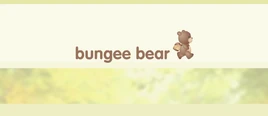 Bungee Bear splash
