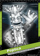 C29F057F-3CC0-4277-9FBE-FBE7C5EC5244.webp (25 KB) Popōca