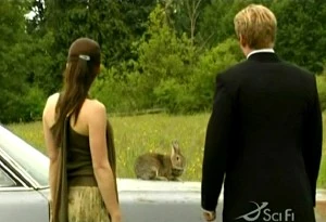 Rabbit | Flash Gordon Wiki | Fandom