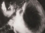 Naota's X-Ray shows no brain.