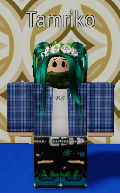 Blue Plaid Shirt, Roblox Wiki