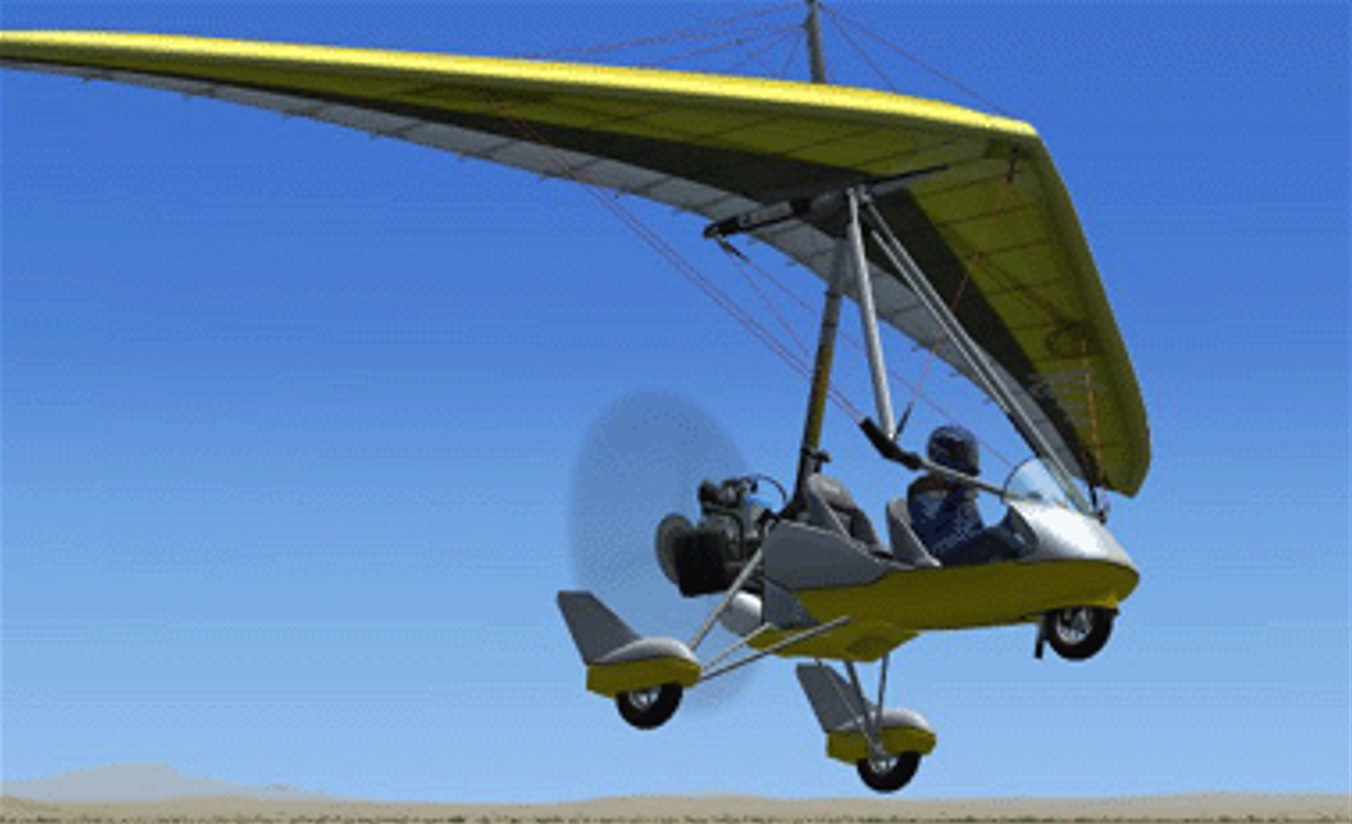 Microsoft Flight Simulator (2020), Flight Sim Wiki