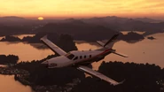 MSF2020-TBM 930.png (130 KB)
