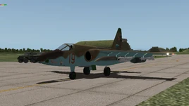 XP10