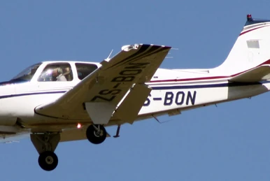 F33 BONANZA ボナンザ（ジンジン様） F33 BONANZA ボナンザ（ジンジン様） 2025年最新】freitag