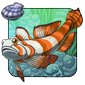 Amber Goby - Amber Gulper