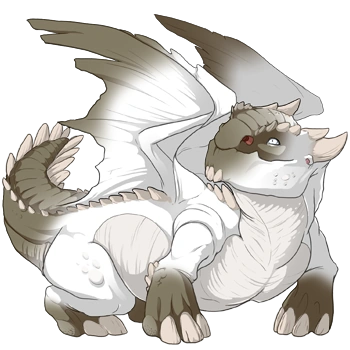 Stone Points on a female Snapper