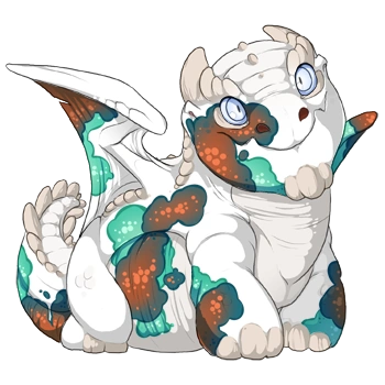 Copper Koi on a hatchling Snapper