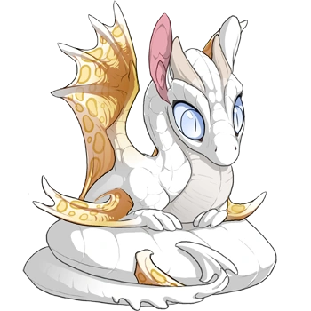 Flaxen Clouded on a hatchling Spiral