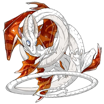 Saffron Constellation on a male Spiral