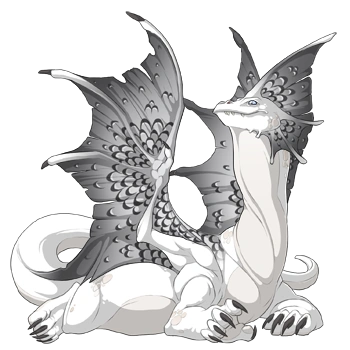 Silver Edged on a female Bogsneak