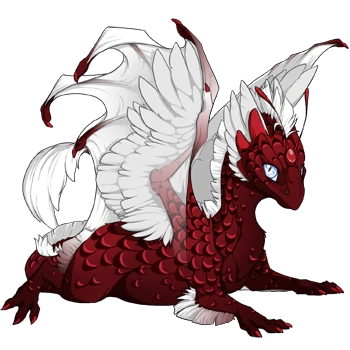 Garnet Laced on a hatchling Skydancer