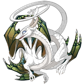 Tarnish Butterfly on a female Spiral