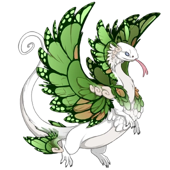 Green Butterfly on a male Coatl