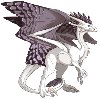 Thistle Peregrine on a female Wildclaw