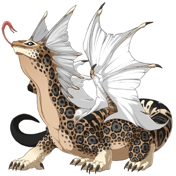 Tan Jaguar on a male Bogsneak