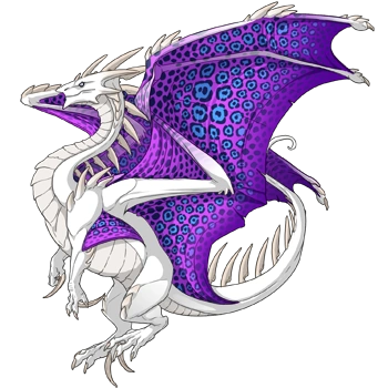 Orchid Rosette on a female Ridgeback